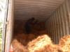 Loading of bristle fibre container