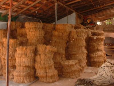 bristle fibre stocks